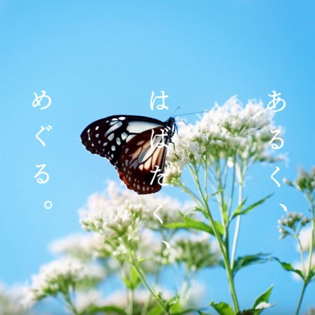 ［MOVIE］ せきがはら人間村生活美術館 「あるく、はばたく、めぐる。」