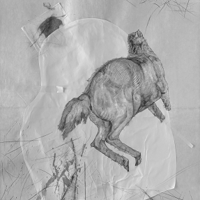 ［会期終了］ せきがはら人間村　柳澤紀子展 『動物のことばセキガハラ』